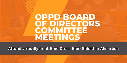 Board of Directors Committee Meetings 