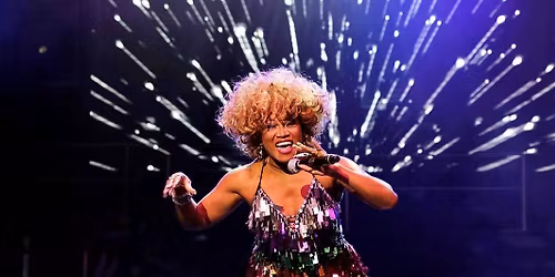 Tina Turner Tribute Show