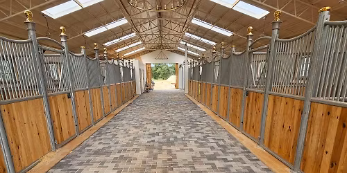 HV Equine soft opening