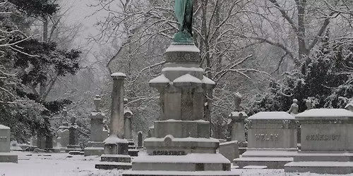 Spring Grove Nature Walk \/ Evergreen Trees
