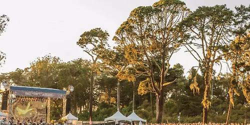 Parking Watchhouse with Paper Wings (18+)