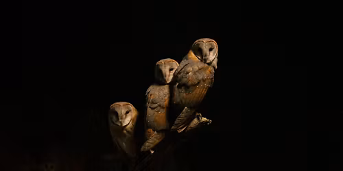 Turning Points | Candlelit Concert | Harp & Saxophone | Huw Wiggin & Oliver Wass