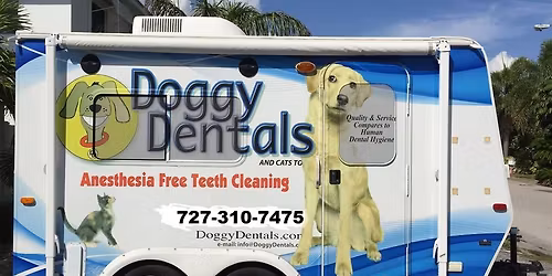 Doggie Dentals at Pupcake Cafe