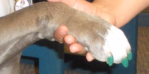 11th "Jeffrey's Joy of Giving" donation drive