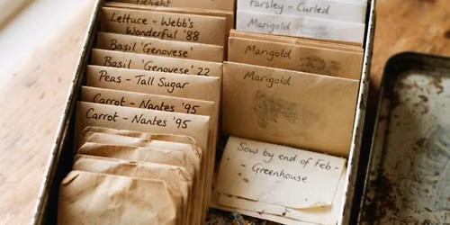 Seed Saving Basics