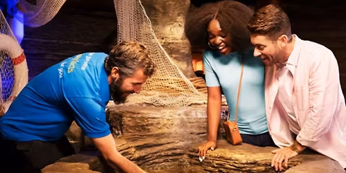 Sea Life London Aquarium 5 Way Multi Attractions Passes