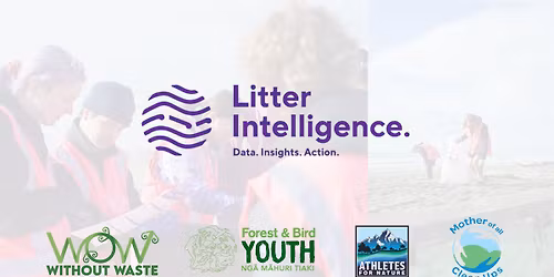 Mother of All Clean Ups - Litter Intelligence Audit