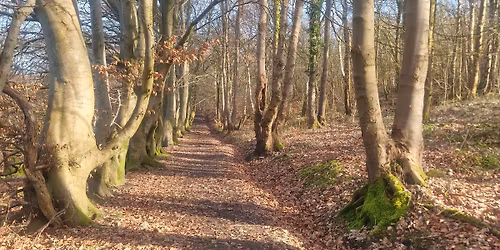 Castlemilk Trail Races