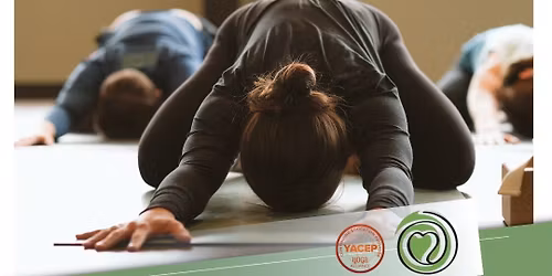 Yin Yoga Intensive
