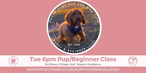 SPACE Term 4 - 6pm Tue Pups & Beginners Training Class