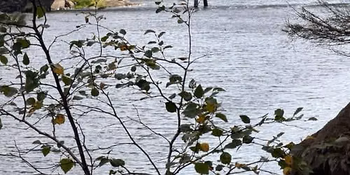 Langtur rundt Elv\u00e5ga