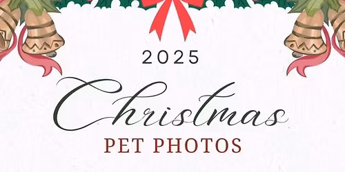 Christmas Photos at South Valley Vet Clinic