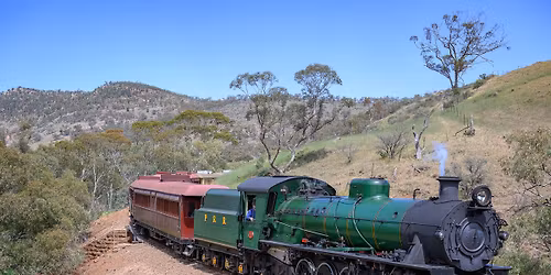 Pichi Richi Explorer train 