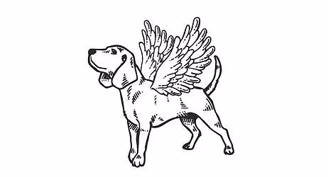 Operation BirdDog