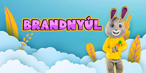 XXXIII. Berhidai Napok-Brandnyúl Minidisco — Berhida, Futballpálya