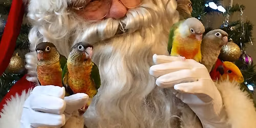 Santa is Coming to our Parrot-Dise!!!\ud83c\udf85