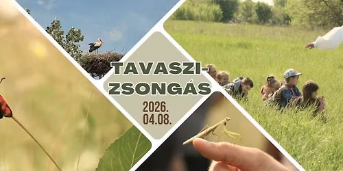 Tavaszi zsong\u00e1s- Mintha t\u00e1bor lenne!