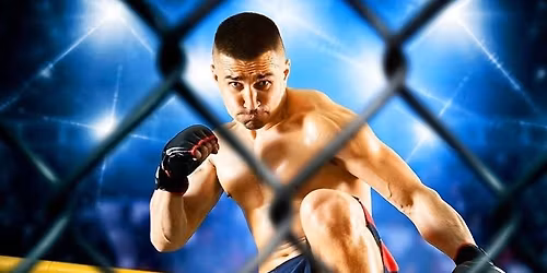 Ultra MMA