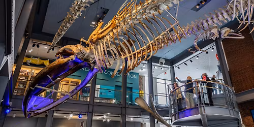 Winter Brass: A Festive First Friday