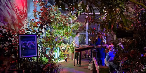 Concert in Wings of the Tropics: Rooted