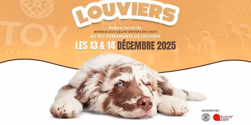 Salon "Univers du chiot" Toy Ev\u00e8nements de Louviers (27)