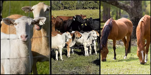Pasture Management Class