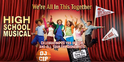 We're All In This Together! A Disney Tribute Party!