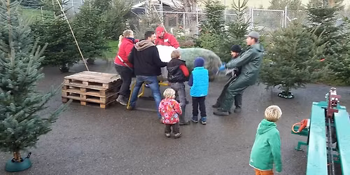 Christbaum Sonntagsverkauf mit Christbaumbeiz