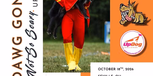 DGI’s Not So Scary UpDog Event