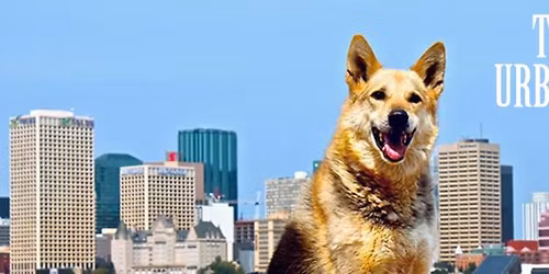 Impulse Control Skills \u2013 Starts Nov 19 @ 7PM