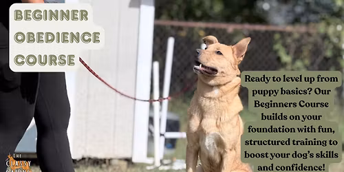 CGC Beginner Obedience Course