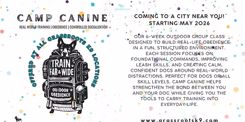 Camp Canine - St. Augustine