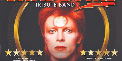 The Sensational David Bowie Tribute Band