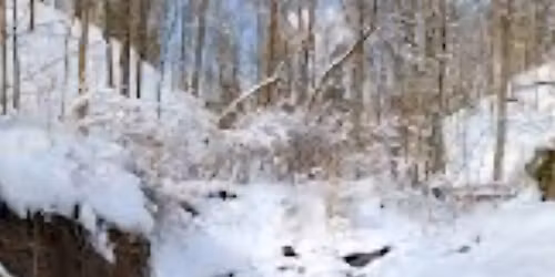 Christmas in the Park 