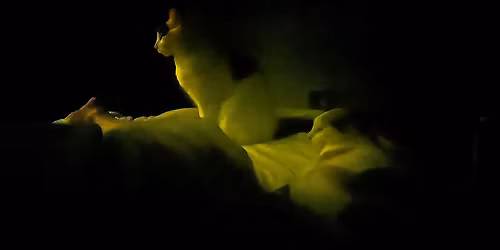 Artist Talk: Stephanie Lane