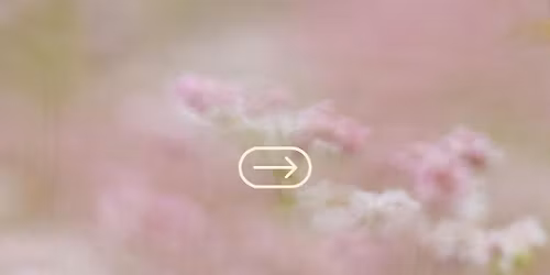 city retriitti \ud83c\udf38 jooga - pilates - \u00e4\u00e4nimaljat 