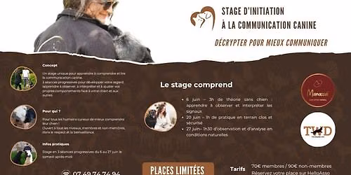 Stage de communication canine