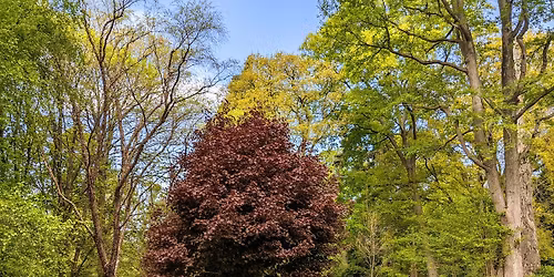 Easter holidays at Tortworth Arboretum