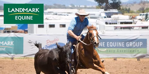 Matt Stanger Clinic