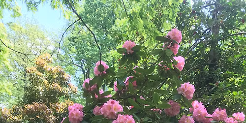 Claude Moore Spring Festival