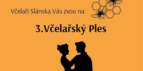 3. V\u010dela\u0159sk\u00fd ples