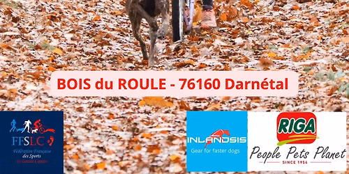 Championnat de Normandie (R2) - 16\u00e8me Canicross du Bois du Roule