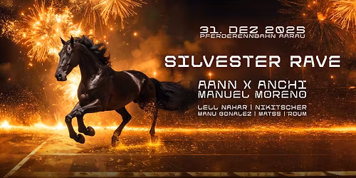 SILVESTER RAVE - AARAU