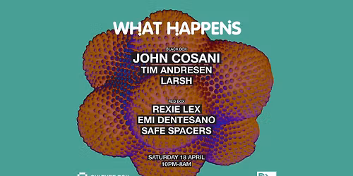 What Happens: John Cosani \/ Tim Andresen \/ Larsh \/ Rexie Lex \/ Safe Spacers \/ Emi Dentesano
