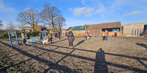 Dog Neutrality Class