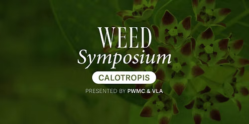 W**d Symposium - Calotropis