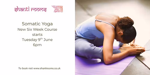 Somatic Yoga - New Six Week Course starts Tuesday 9th June