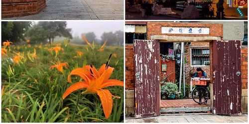 05.09 \u864e\u56b4\u5c71\u91d1\u91dd\u82b1 \uff5c \u9e7f\u6e2f\u4e00\u65e5\u8d70\u62cd