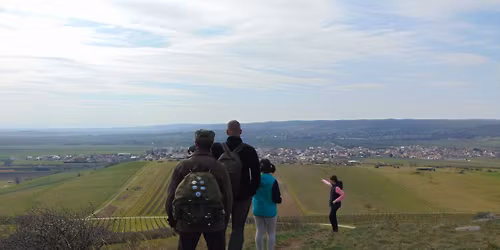 Legend\u00e1s Fert\u0151-t\u00e1j VII. - Nezsidert\u0151l Feketev\u00e1rosig