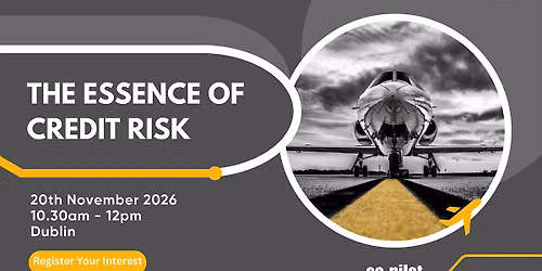 Co-pilot Essence of Credit Risk - Dublin Meeting